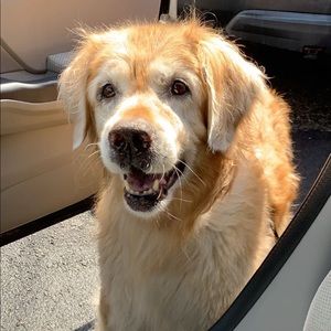 Meet your Posher, Kenzi